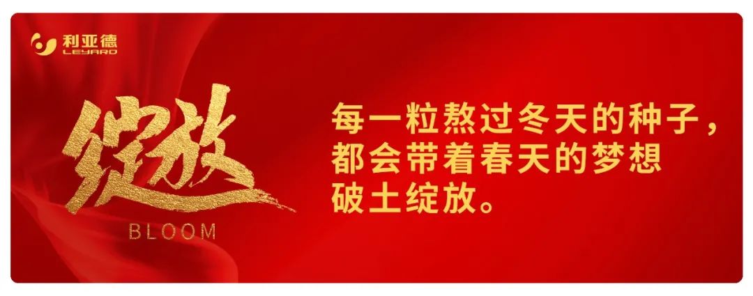 CHINA·MG冰球突破|品牌官网