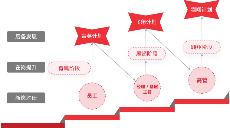 MG冰球突破官网 "雄鹰计划"人才梯队培养