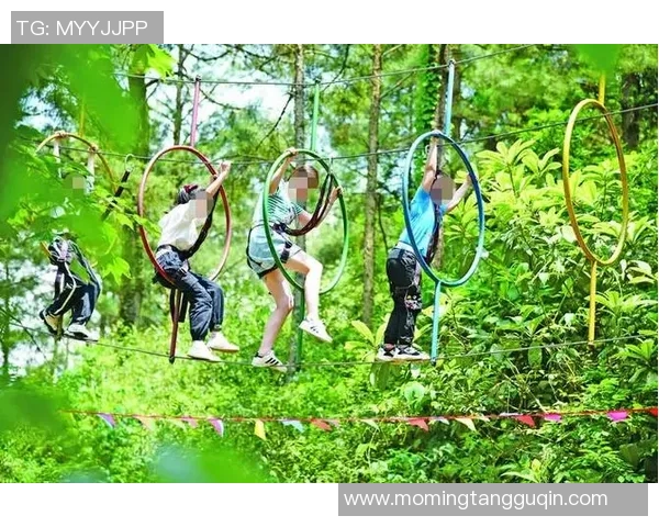 王敏独家揭秘极限运动的乐趣与挑战分享心得与技巧 王敏独家揭秘极限运动的乐趣与挑战分享心得与技巧