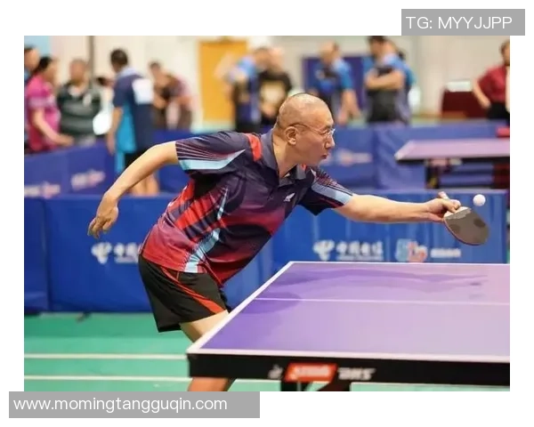 武汉乒乓球队员个人能力深度对比与分析探讨