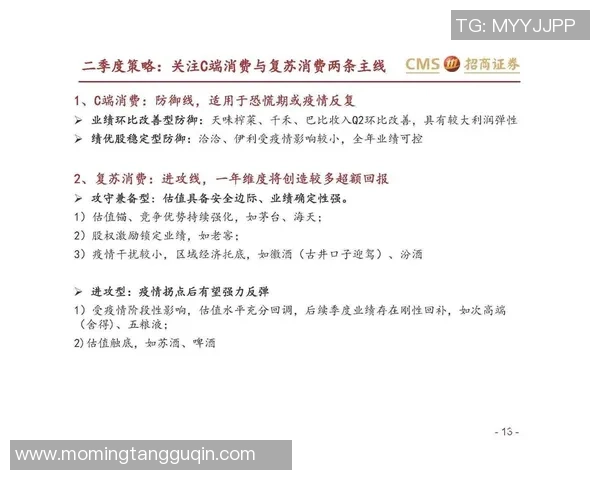 深入分析成都排球队防守策略与战术特点的专业解读