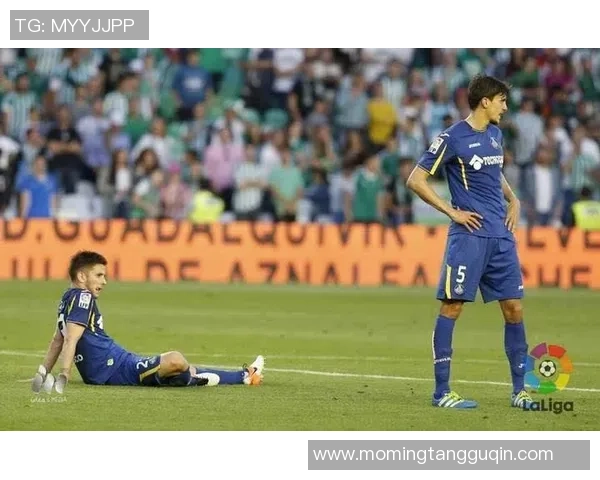 北京足球队的拼搏之路：从低谷到巅峰的奋斗历程与荣耀回顾