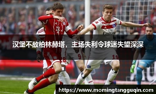 汉堡不敌柏林赫塔，主场失利令球迷失望深深
