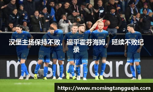 汉堡主场保持不败，逼平霍芬海姆，延续不败纪录