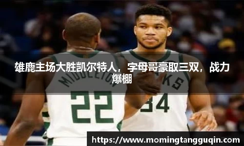 ballbet贝博艾弗森官方网站