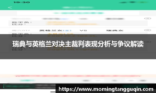 瑞典与英格兰对决主裁判表现分析与争议解读