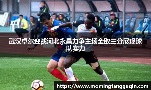 武汉卓尔迎战河北永昌力争主场全取三分展现球队实力