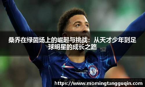 ballbet贝博艾弗森官网