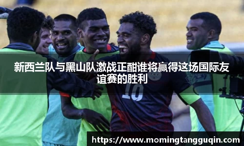 ballbet贝博艾弗森官方网站