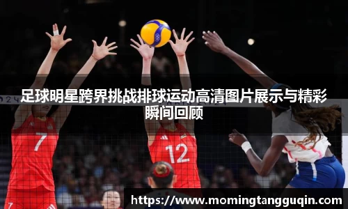 ballbet贝博艾弗森官网